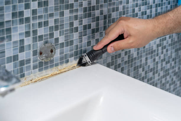 Woodland Heights, PA Mold Removal Company
