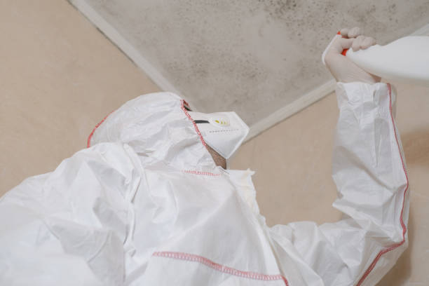 Best Certified Mold Removal  in Woodland Heights, PA